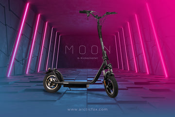 Arctic Fox  E-Kick Scooter "Moon"