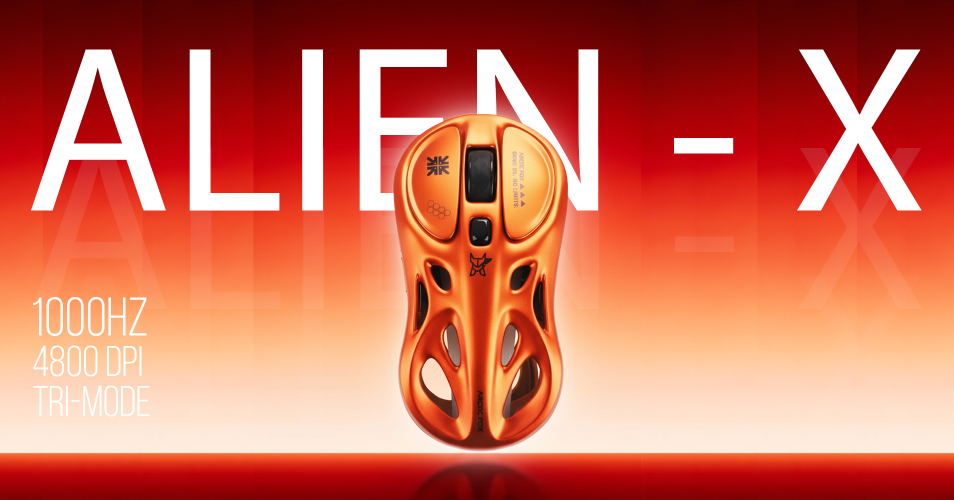 slider image 920bfe1f-e4b7-4176-bc44-73d41cf6b76a