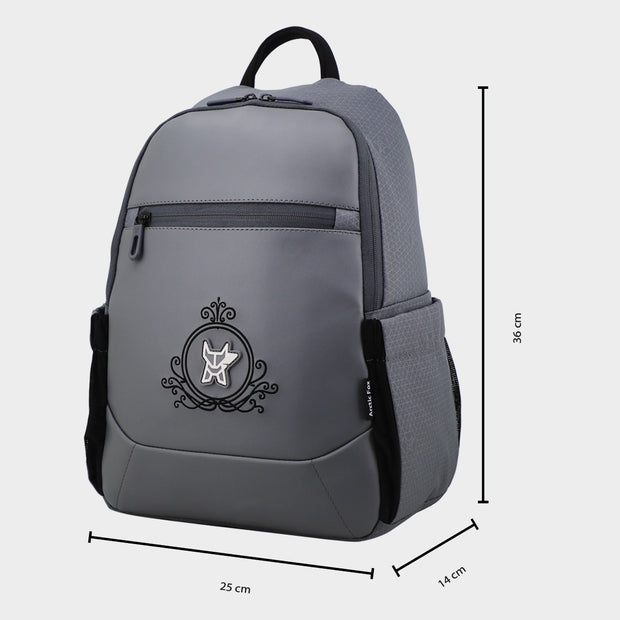 Arctic Fox Royal Castel Rock Bag for girls college bag for girls
